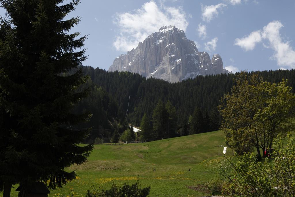 Garni Tramans Bed & Breakfast Selva di Val Gardena Room photo