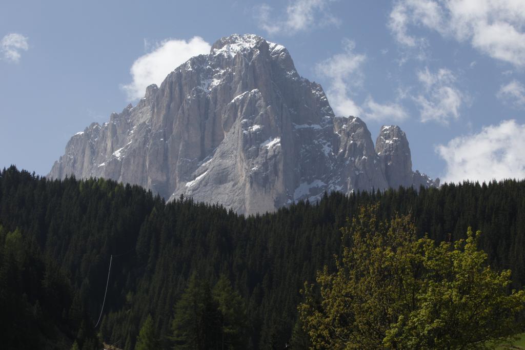 Garni Tramans Bed & Breakfast Selva di Val Gardena Room photo