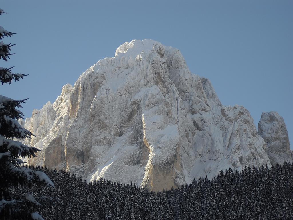 Garni Tramans Bed & Breakfast Selva di Val Gardena Exterior photo